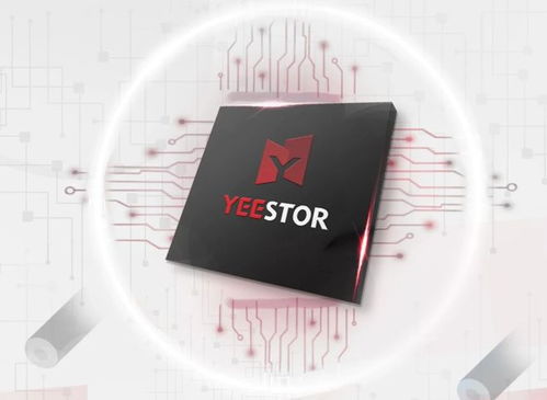 得一微电子 把握AI机遇，打造数据存储高质量发展新引擎